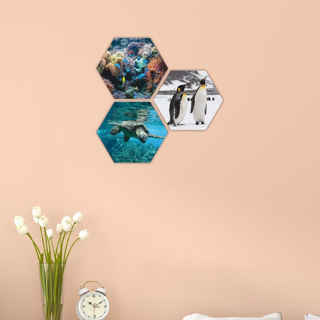 MDF Cut Out Hexagon Shape