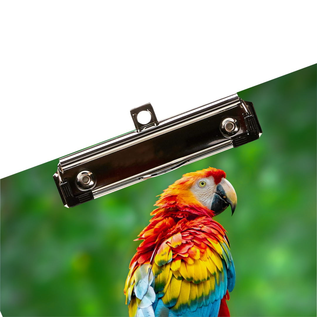 Macaw Parrot Printed MDF Exam Clipboard