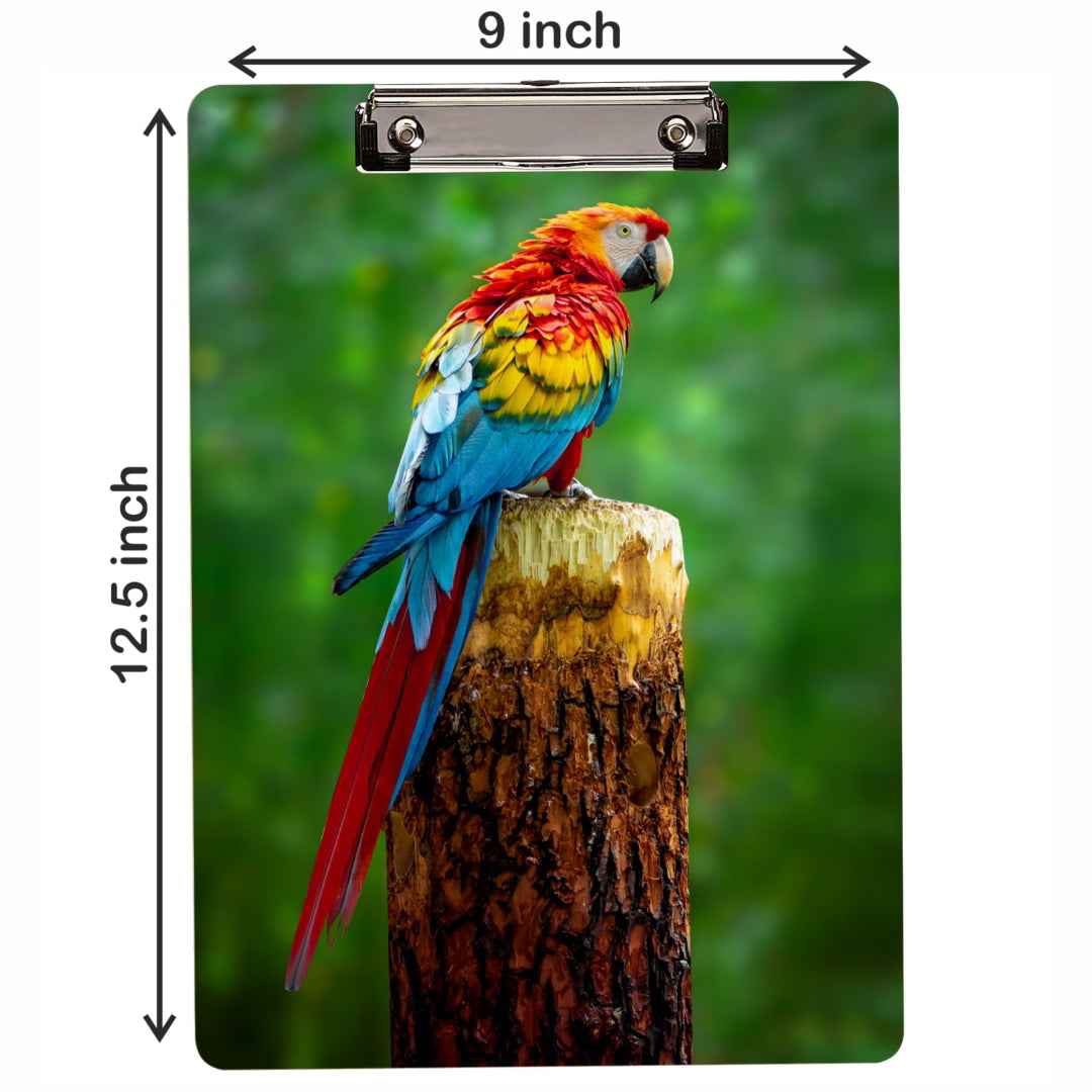 Macaw Parrot Printed MDF Exam Clipboard