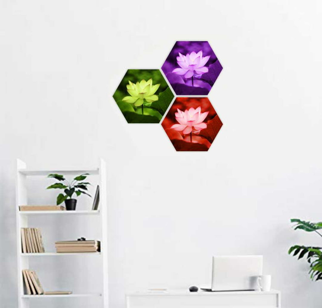 Hexagon Wall Plaque for Home