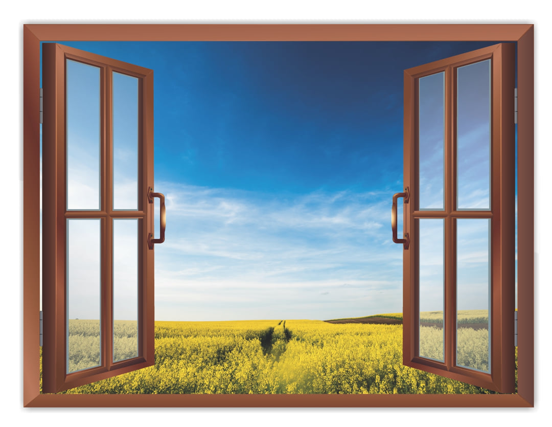 Creative Window View Sticker